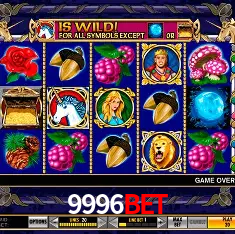 9996BET Rio de Janeiro - Bonus Terms